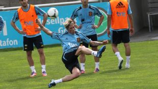 Todo pareciera indicar que Del Bosque alineará a Fernando Torres ante Italia